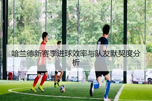 哈兰德新赛季进球效率与队友默契度分析
